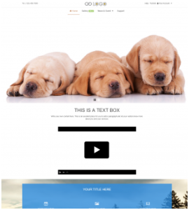 
Perfect templates for any kind of website